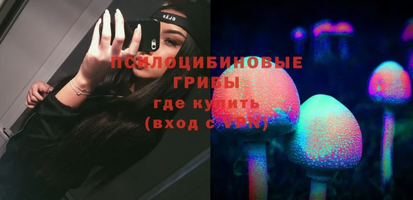 ГАЛЛЮЦИНОГЕННЫЕ ГРИБЫ Аркадак