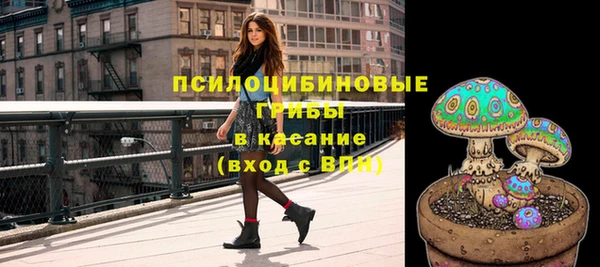 прущая мука Арсеньев