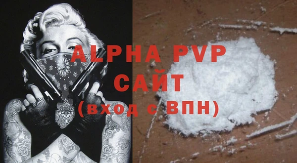 соль ск Няндома