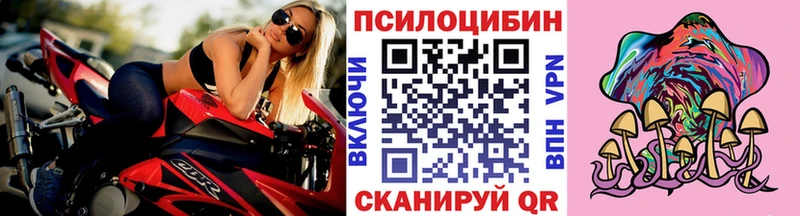 купить  сайты  Бабаево  Псилоцибиновые грибы Psilocybine cubensis 