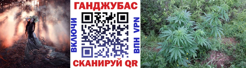 наркота  Бабаево  KRAKEN зеркало  Бошки марихуана MAZAR 
